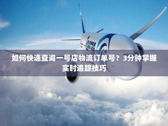 如何快速查询一号店物流订单号？3分钟掌握实时追踪技巧