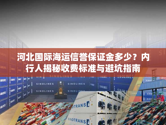 河北国际海运信誉保证金多少？内行人揭秘收费标准与避坑指南
