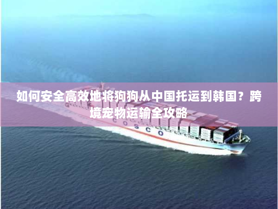 如何安全高效地将狗狗从中国托运到韩国?跨境宠物运输全攻略 如何安全高效地将狗狗从中国托运到韩国?跨境宠物运输全攻略