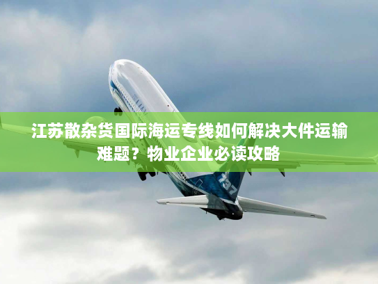 江苏散杂货国际海运专线如何解决大件运输难题?物业企业必读攻略 江苏散杂货国际海运专线如何解决大件运输难题?物业企业必读攻略