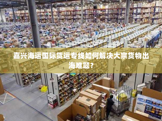 嘉兴海运国际货运专线如何解决大宗货物出海难题？