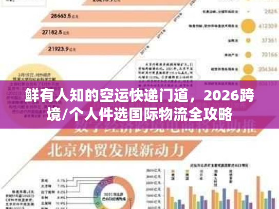鲜有人知的空运快递门道，2026跨境/个人件选国际物流全攻略