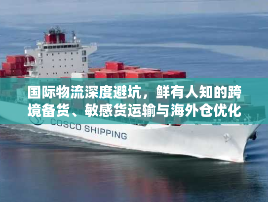 国际物流深度避坑，鲜有人知的跨境备货、敏感货运输与海外仓优化全攻略
