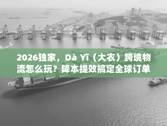 2026独家，Dà Yī（大衣）跨境物流怎么玩？降本提效搞定全球订单