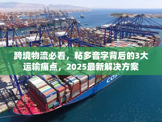 跨境物流必看,粘多音字背后的3大运输痛点,2025最新解决方案 跨境物流必看,粘多音字背后的3大运输痛点,2025最新解决方案