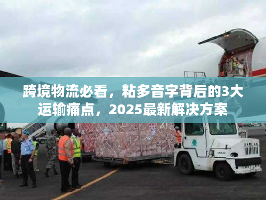 跨境物流必看,粘多音字背后的3大运输痛点,2025最新解决方案 跨境物流必看,粘多音字背后的3大运输痛点,2025最新解决方案
