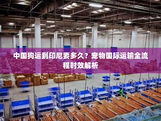 中国狗运到印尼要多久？宠物国际运输全流程时效解析