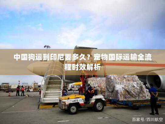 中国狗运到印尼要多久?宠物国际运输全流程时效解析 中国狗运到印尼要多久?宠物国际运输全流程时效解析