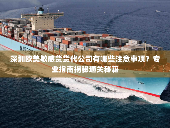 深圳欧美敏感货货代公司有哪些注意事项?专业指南揭秘通关秘籍 深圳欧美敏感货货代公司有哪些注意事项?专业指南揭秘通关秘籍