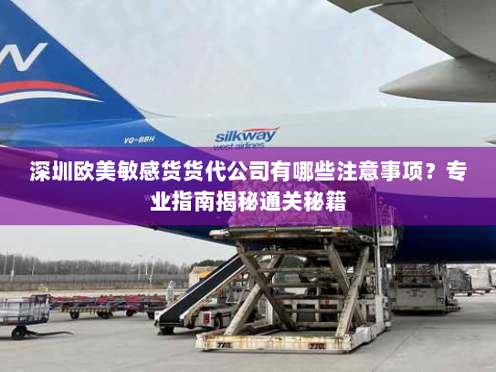 深圳欧美敏感货货代公司有哪些注意事项?专业指南揭秘通关秘籍 深圳欧美敏感货货代公司有哪些注意事项?专业指南揭秘通关秘籍