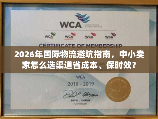 2026年国际物流避坑指南，中小卖家怎么选渠道省成本、保时效？