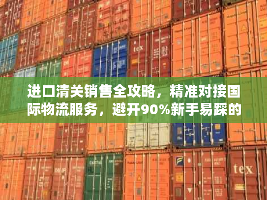 进口清关销售全攻略，精准对接国际物流服务，避开90%新手易踩的清关坑