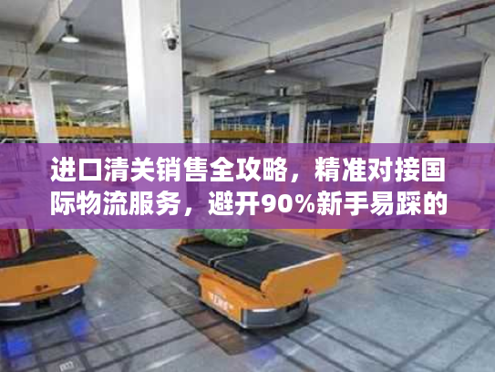 进口清关销售全攻略，精准对接国际物流服务，避开90%新手易踩的清关坑