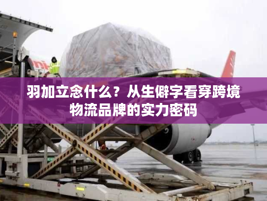羽加立念什么?从生僻字看穿跨境物流品牌的实力密码 羽加立念什么?从生僻字看穿跨境物流品牌的实力密码