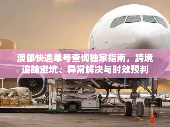 澳邮快递单号查询独家指南，跨境追踪避坑、异常解决与时效预判