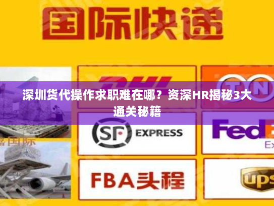 深圳货代操作求职难在哪?资深HR揭秘3大通关秘籍 深圳货代操作求职难在哪?资深HR揭秘3大通关秘籍