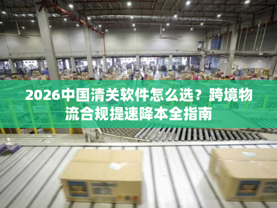 2026中国清关软件怎么选？跨境物流合规提速降本全指南