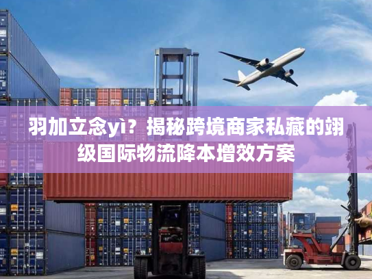 羽加立念yì？揭秘跨境商家私藏的翊级国际物流降本增效方案