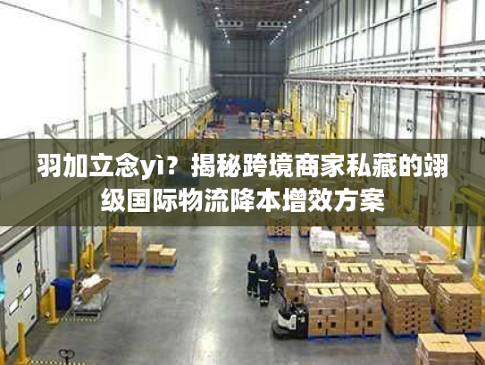 羽加立念yì？揭秘跨境商家私藏的翊级国际物流降本增效方案