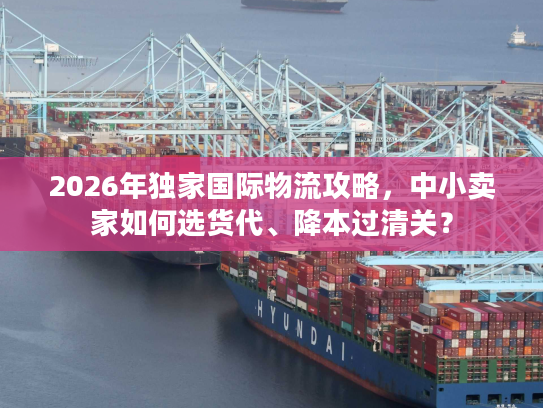 2026年独家国际物流攻略，中小卖家如何选货代、降本过清关？
