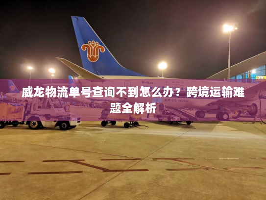 威龙物流单号查询不到怎么办?跨境运输难题全解析 威龙物流单号查询不到怎么办?跨境运输难题全解析