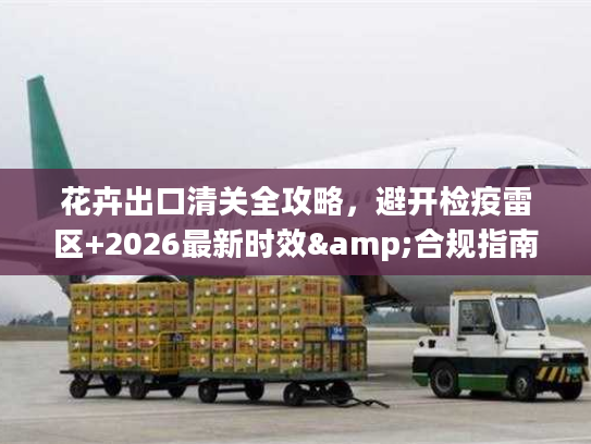 花卉出口清关全攻略，避开检疫雷区+2026最新时效&合规指南