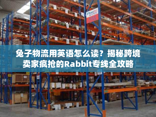 兔子物流用英语怎么读？揭秘跨境卖家疯抢的Rabbit专线全攻略