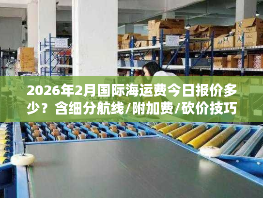 2026年2月国际海运费今日报价多少？含细分航线/附加费/砍价技巧