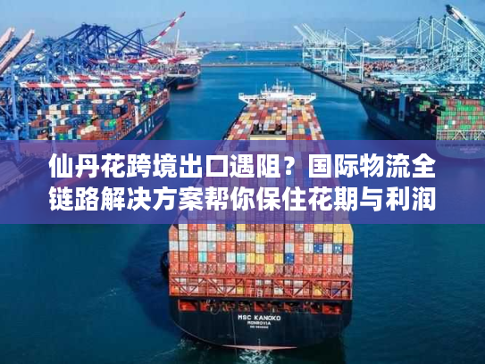 仙丹花跨境出口遇阻？国际物流全链路解决方案帮你保住花期与利润