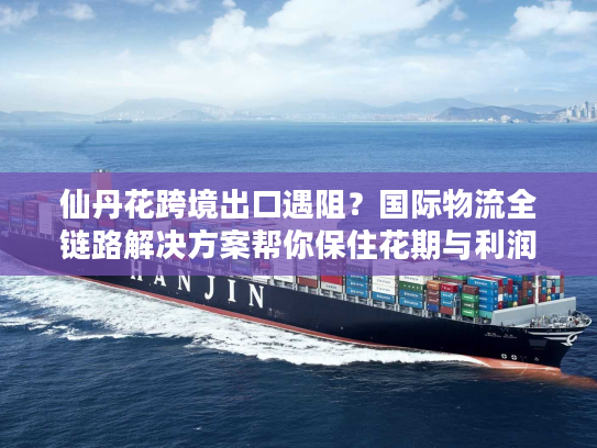 仙丹花跨境出口遇阻？国际物流全链路解决方案帮你保住花期与利润