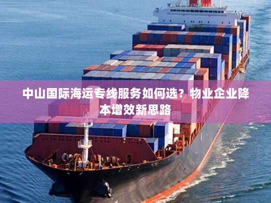 中山国际海运专线服务如何选？物业企业降本增效新思路