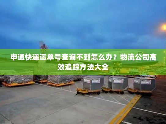 申通快递运单号查询不到怎么办?物流公司高效追踪方法大全 申通快递运单号查询不到怎么办?物流公司高效追踪方法大全