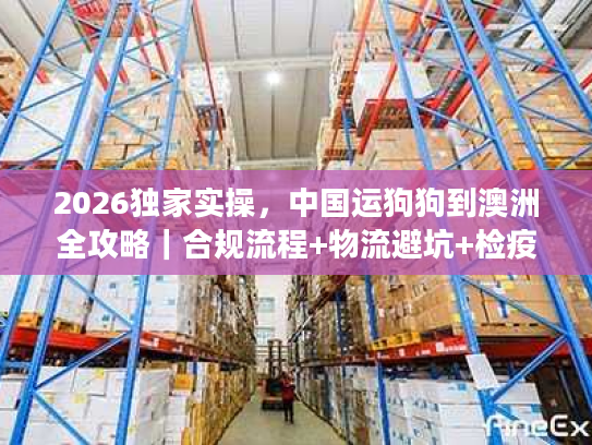 2026独家实操，中国运狗狗到澳洲全攻略｜合规流程+物流避坑+检疫指南