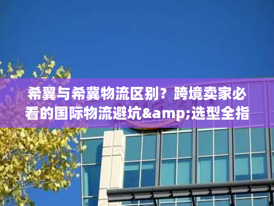 希翼与希冀物流区别？跨境卖家必看的国际物流避坑&选型全指南