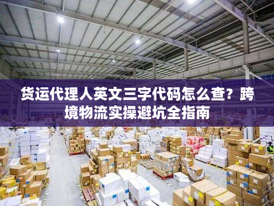 货运代理人英文三字代码怎么查？跨境物流实操避坑全指南