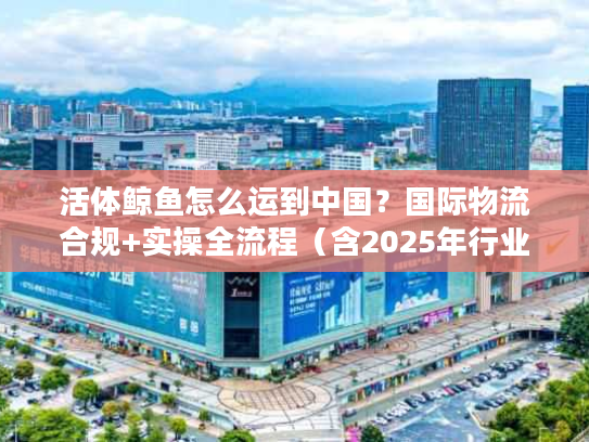 活体鲸鱼怎么运到中国？国际物流合规+实操全流程（含2025年行业数据）