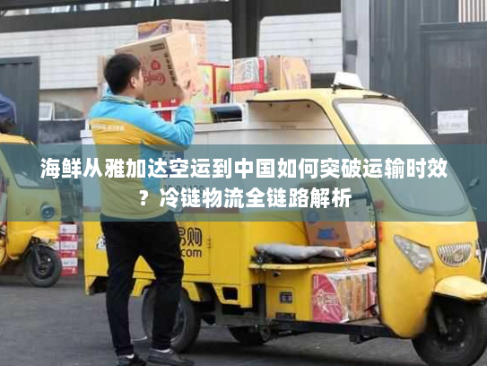 海鲜从雅加达空运到中国如何突破运输时效?冷链物流全链路解析 海鲜从雅加达空运到中国如何突破运输时效?冷链物流全链路解析