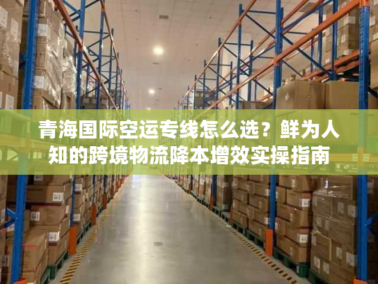 青海国际空运专线怎么选？鲜为人知的跨境物流降本增效实操指南