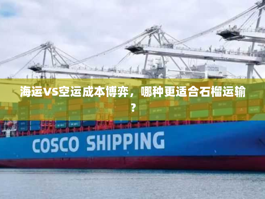 海运VS空运成本博弈,哪种更适合石榴运输? 海运VS空运成本博弈,哪种更适合石榴运输?