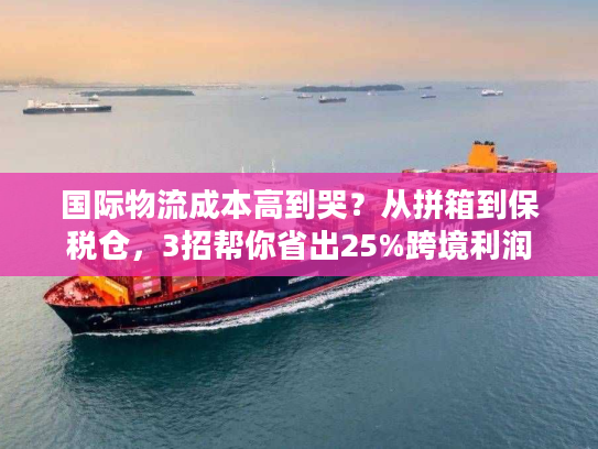 国际物流成本高到哭？从拼箱到保税仓，3招帮你省出25%跨境利润