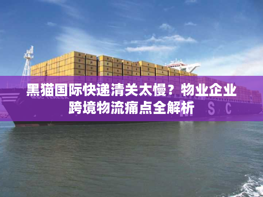 黑猫国际快递清关太慢?物业企业跨境物流痛点全解析 黑猫国际快递清关太慢?物业企业跨境物流痛点全解析