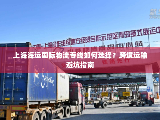 上海海运国际物流专线如何选择？跨境运输避坑指南