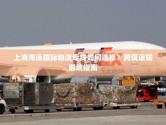 上海海运国际物流专线如何选择？跨境运输避坑指南