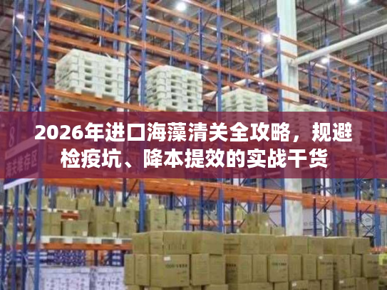 2026年进口海藻清关全攻略，规避检疫坑、降本提效的实战干货
