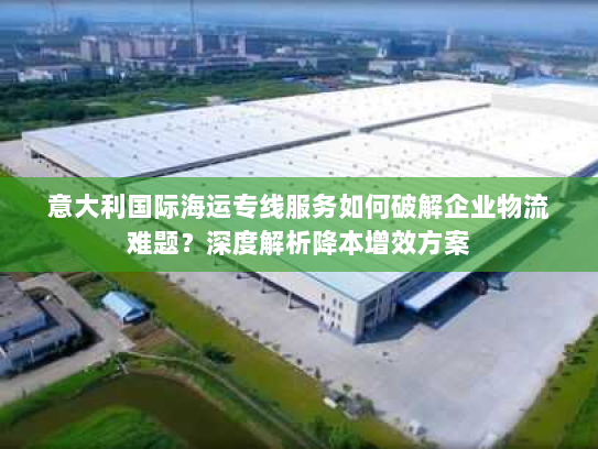 意大利国际海运专线服务如何破解企业物流难题？深度解析降本增效方案