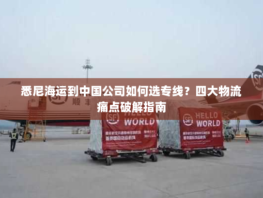 悉尼海运到中国公司如何选专线?四大物流痛点破解指南 悉尼海运到中国公司如何选专线?四大物流痛点破解指南