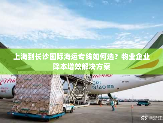 上海到长沙国际海运专线如何选?物业企业降本增效解决方案 上海到长沙国际海运专线如何选?物业企业降本增效解决方案
