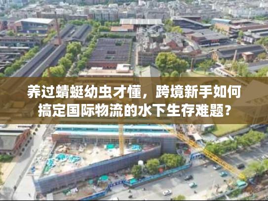 养过蜻蜓幼虫才懂，跨境新手如何搞定国际物流的水下生存难题？