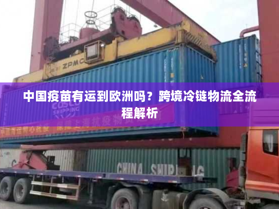 中国疫苗有运到欧洲吗？跨境冷链物流全流程解析
