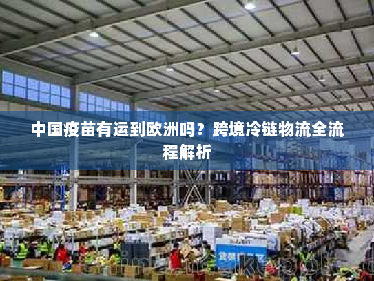 中国疫苗有运到欧洲吗？跨境冷链物流全流程解析